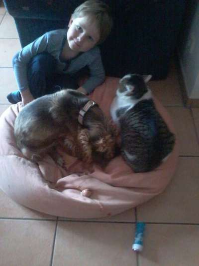 CHALLENGE Nr.17-Beitrag-Bild