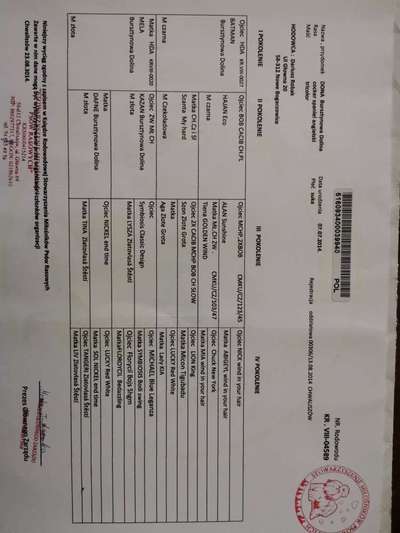 Cocker Spaniel-Beitrag-Bild