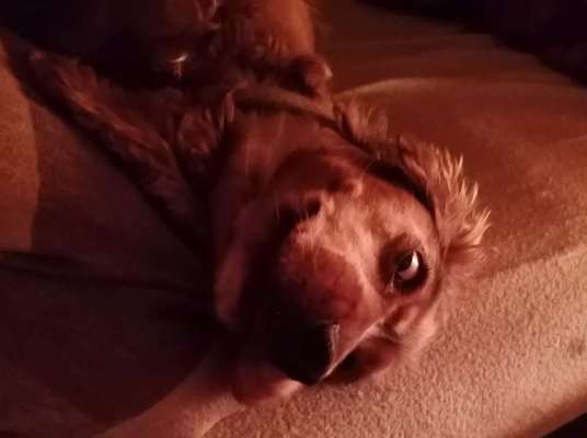 Fotochallange Nr. 6 Die irrsten Blicke-Beitrag-Bild