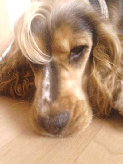 Fotochallenge No. 5-Beitrag-Bild