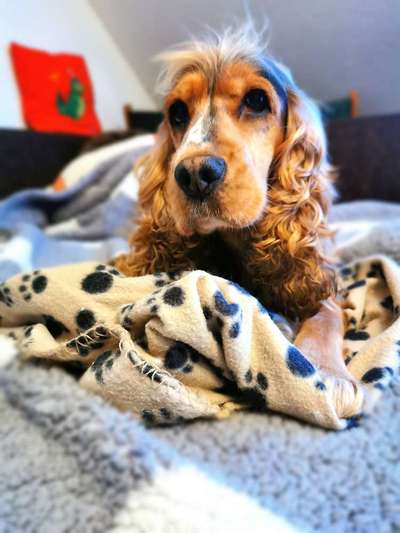 Foto Challenge die Vierte-Beitrag-Bild