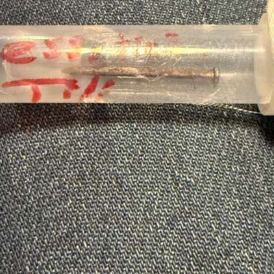 Giftköder-Nägel im Futter Köder-Bild