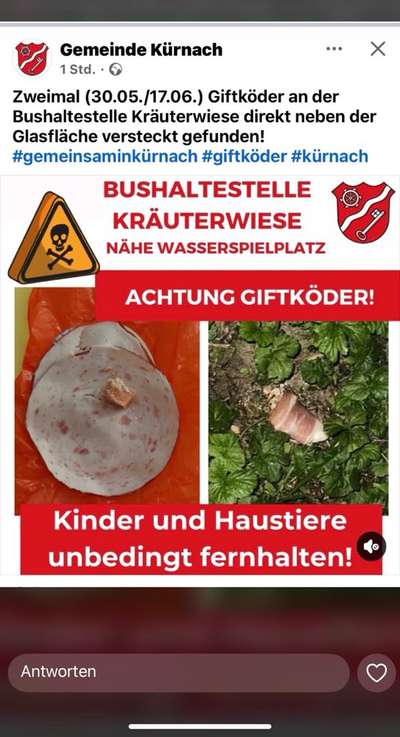 Giftköder-Meldung von Gemeinde-Bild