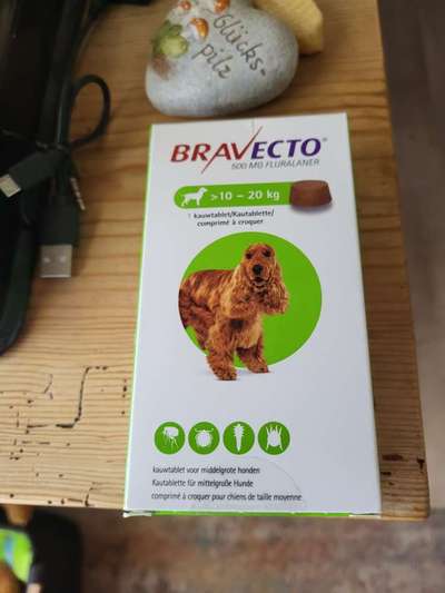 Zeckenhalsband ohne Wirkung-Beitrag-Bild