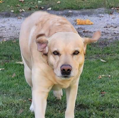 Fotochallange Nr. 57     PORTRÄT.   Beendet!!!!!!!!-Beitrag-Bild