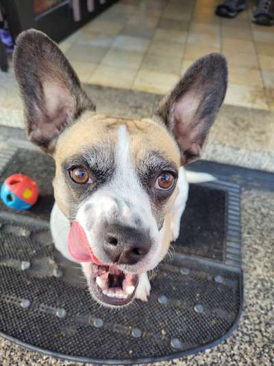 Fotochallange Nr. 57     PORTRÄT.   Beendet!!!!!!!!-Beitrag-Bild