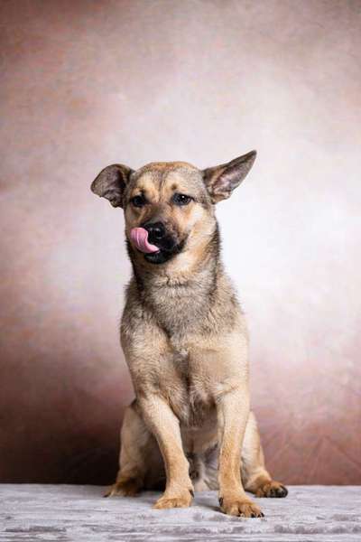 Tongue Out Tuesday-Beitrag-Bild