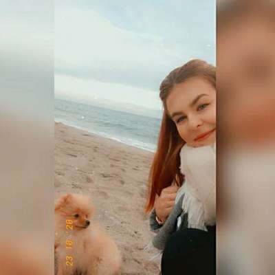 Hundetreffen-Gassirunde oder Strandspaziergang-Profilbild