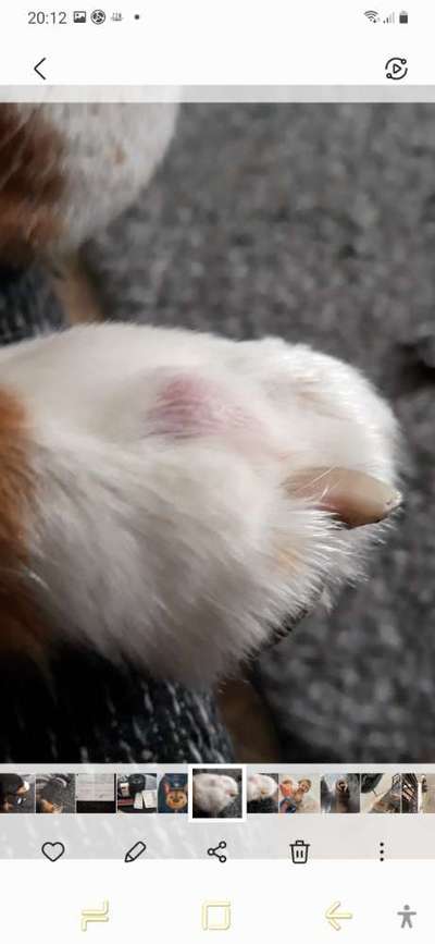 Knubbel entfernen ja oder nein?-Beitrag-Bild