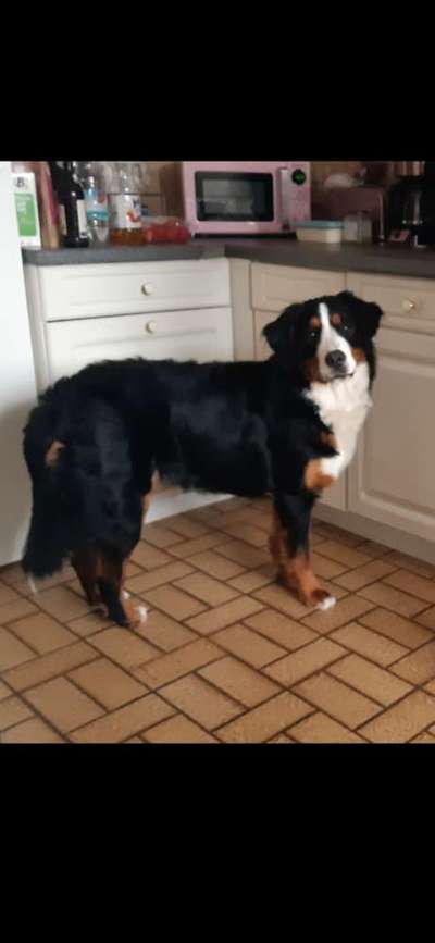 PUBERTÄT?-Beitrag-Bild