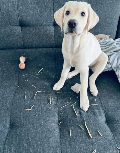 Hier ist der Spaßthread. Zum Schmunzeln und Kaputtlachen-Beitrag-Bild