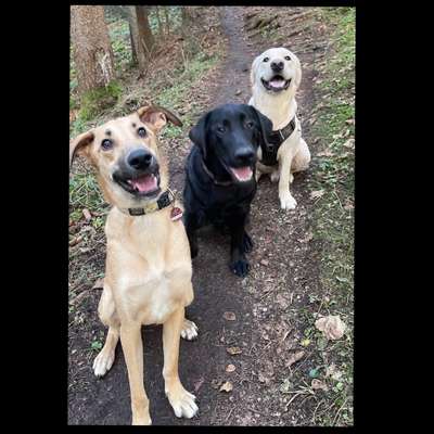 Fotochallenge 69-Beitrag-Bild