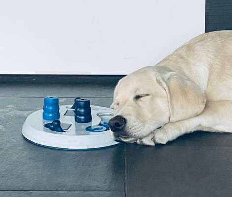 Hier ist der Spaßthread. Zum Schmunzeln und Kaputtlachen-Beitrag-Bild