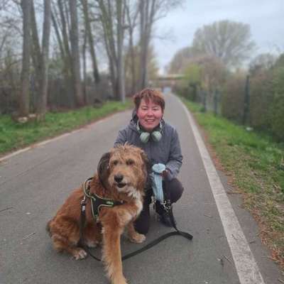 Hundetreffen-Hundetreff grunewald ❤️🐕-Bild