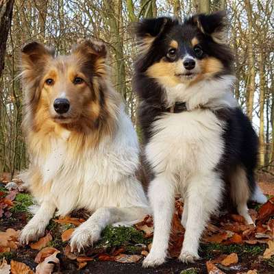 Fotochallenge liebespaare-Beitrag-Bild