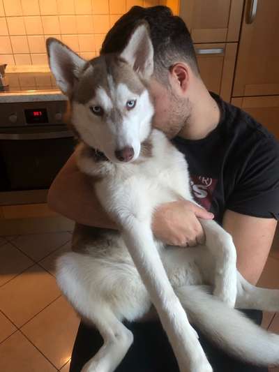 Fotochallange Nr. 6 Die irrsten Blicke-Beitrag-Bild