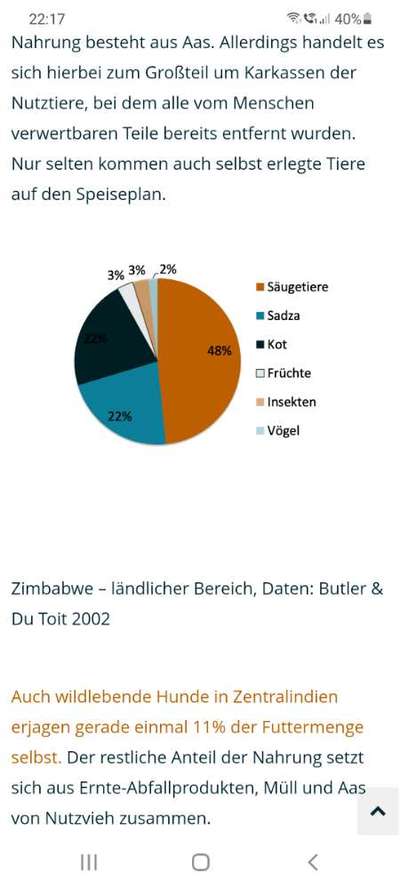 Bio Futter-Beitrag-Bild