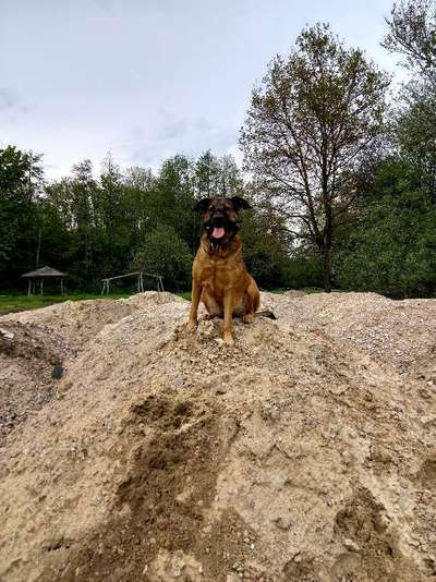 Lieblingsbild :D-Beitrag-Bild