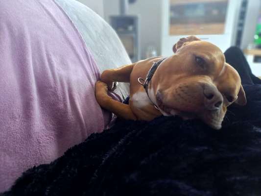 Lieblingsbild :D-Beitrag-Bild