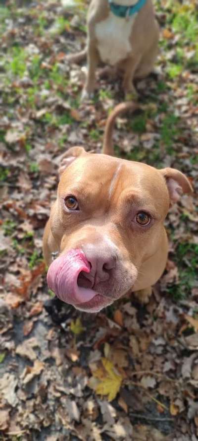 Fotochallange Nr. 57     PORTRÄT.   Beendet!!!!!!!!-Beitrag-Bild