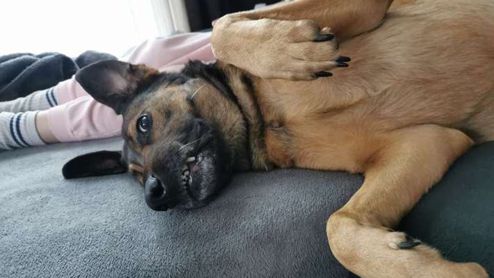 Fotochallange Nr. 57     PORTRÄT.   Beendet!!!!!!!!-Beitrag-Bild