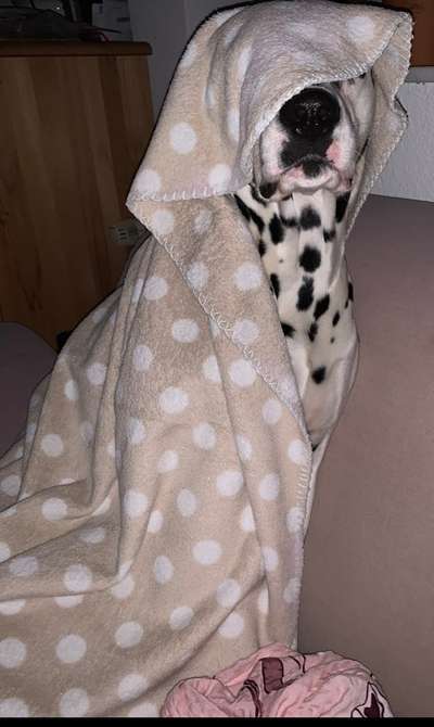 Farben Fotochallenge Sonnenlicht-Beitrag-Bild