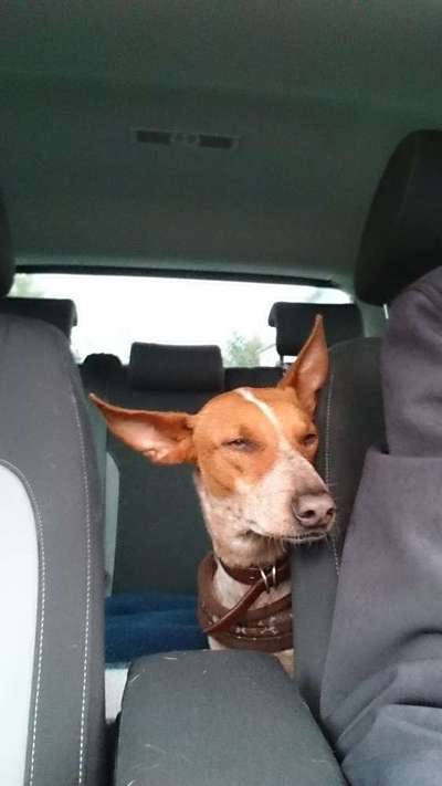 117. Fotochallenge-Beitrag-Bild