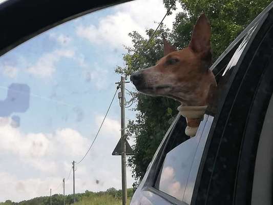 Foto Challenge Nr. 136-Beitrag-Bild