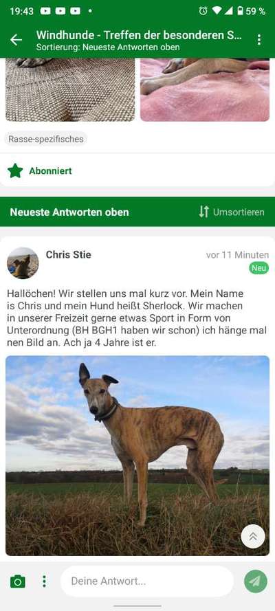 Windhunde - Treffen der besonderen Schönheiten
HERZLICH WILLKOMMEN-Beitrag-Bild
