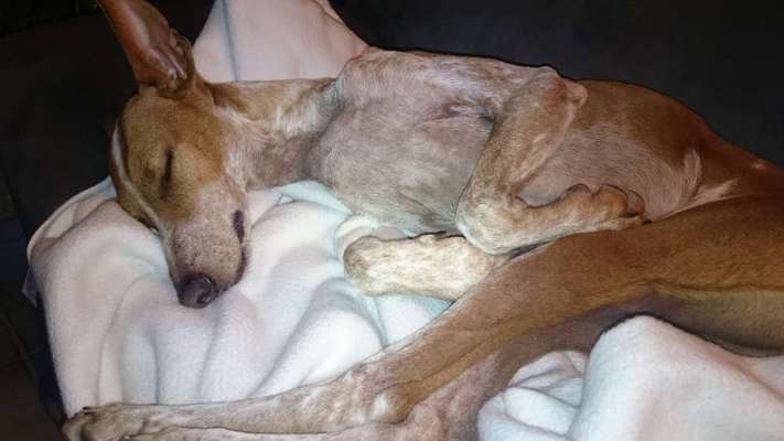 Foto Challenge Nr. 134-Beitrag-Bild