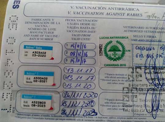 Windhunde - Treffen der besonderen Schönheiten
HERZLICH WILLKOMMEN-Beitrag-Bild