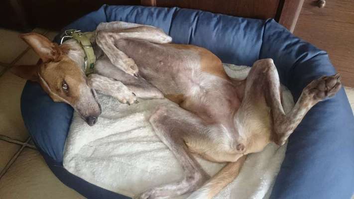 Fotochallenge Nr.65-Beitrag-Bild