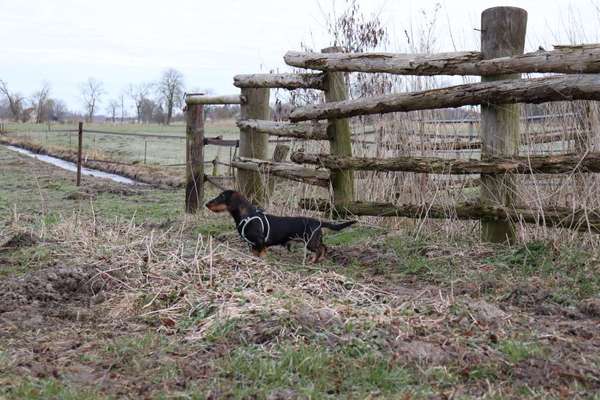 Fotochallenge No. 26                                     Wald und Wiese-Beitrag-Bild
