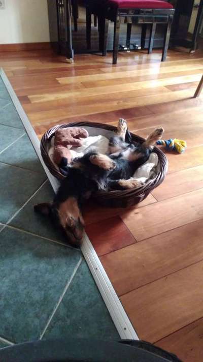 CHALLENGE NR. 34 - Liege-/Schlafpositionen-Beitrag-Bild