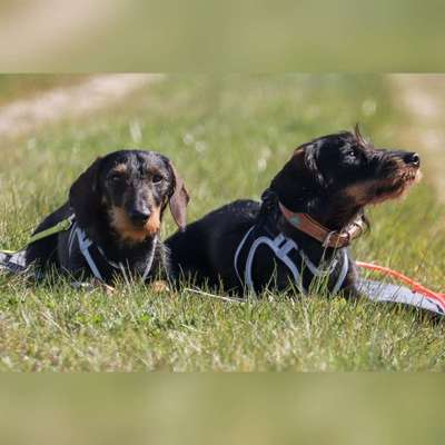 Foto Challange Nr.80-Beitrag-Bild