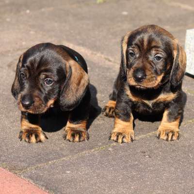 Fotochallenge 88-Beitrag-Bild