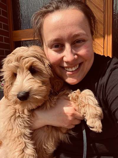 Hundetreffen-Welpe sucht souveränen Spielpartner-Bild