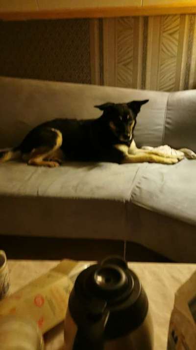 Lieblings Fotos-Beitrag-Bild