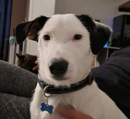 Fotochallange Nr. 57     PORTRÄT.   Beendet!!!!!!!!-Beitrag-Bild