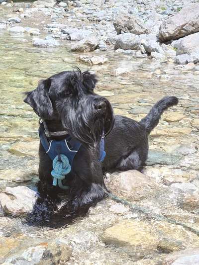 Berg- und Schneeschuhtouren-Beitrag-Bild