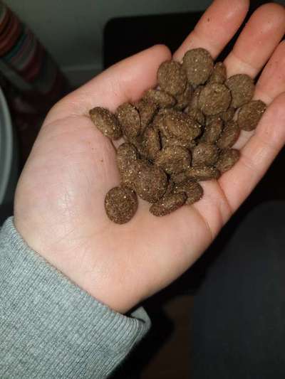 An alle Vet Conzept Ziege fütterer ich habe da mal ein anliegen-Beitrag-Bild