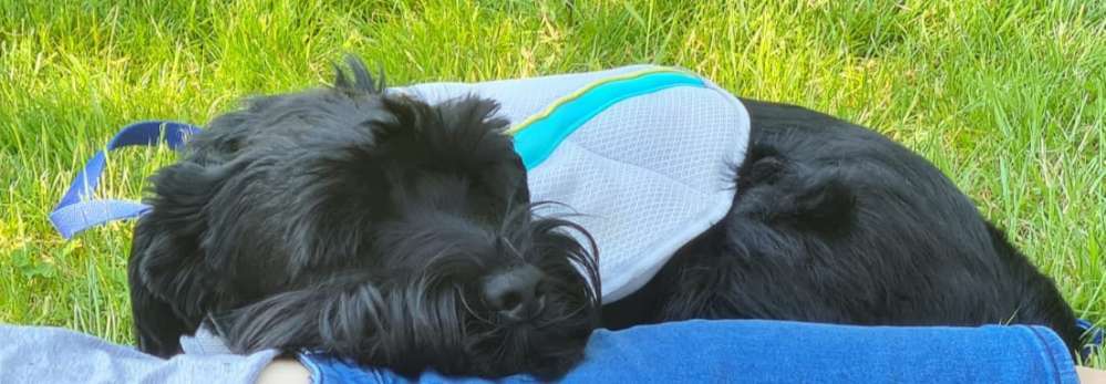 Pullis, Jacken, Hütte und alles sonstiges-Beitrag-Bild