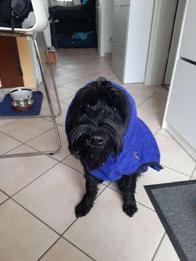 Pullis, Jacken, Hütte und alles sonstiges-Beitrag-Bild