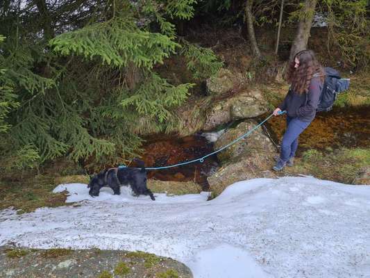 Wanderung zum Brocken-Beitrag-Bild