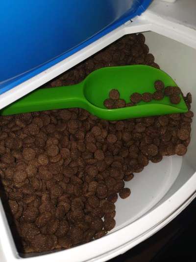 An alle Vet Conzept Ziege fütterer ich habe da mal ein anliegen-Beitrag-Bild