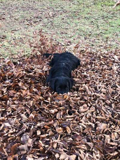 Herbst Bilder-Beitrag-Bild