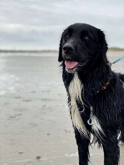 Zeigt eure Portraits-Beitrag-Bild