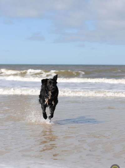 Fotochallenge Nr.105  Glücksmomente-Beitrag-Bild