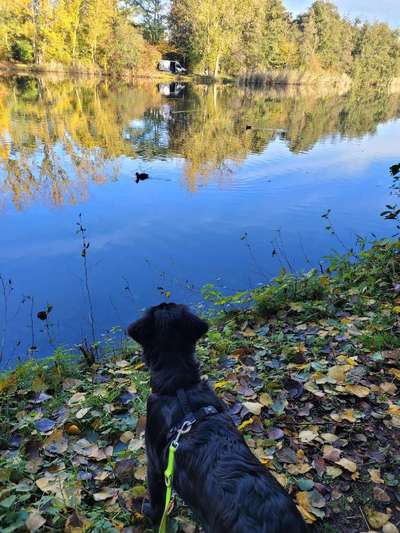 Herbst Bilder-Beitrag-Bild