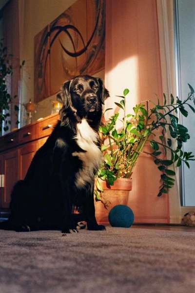 12. Farben Foto Challenge --- Braun-Beitrag-Bild